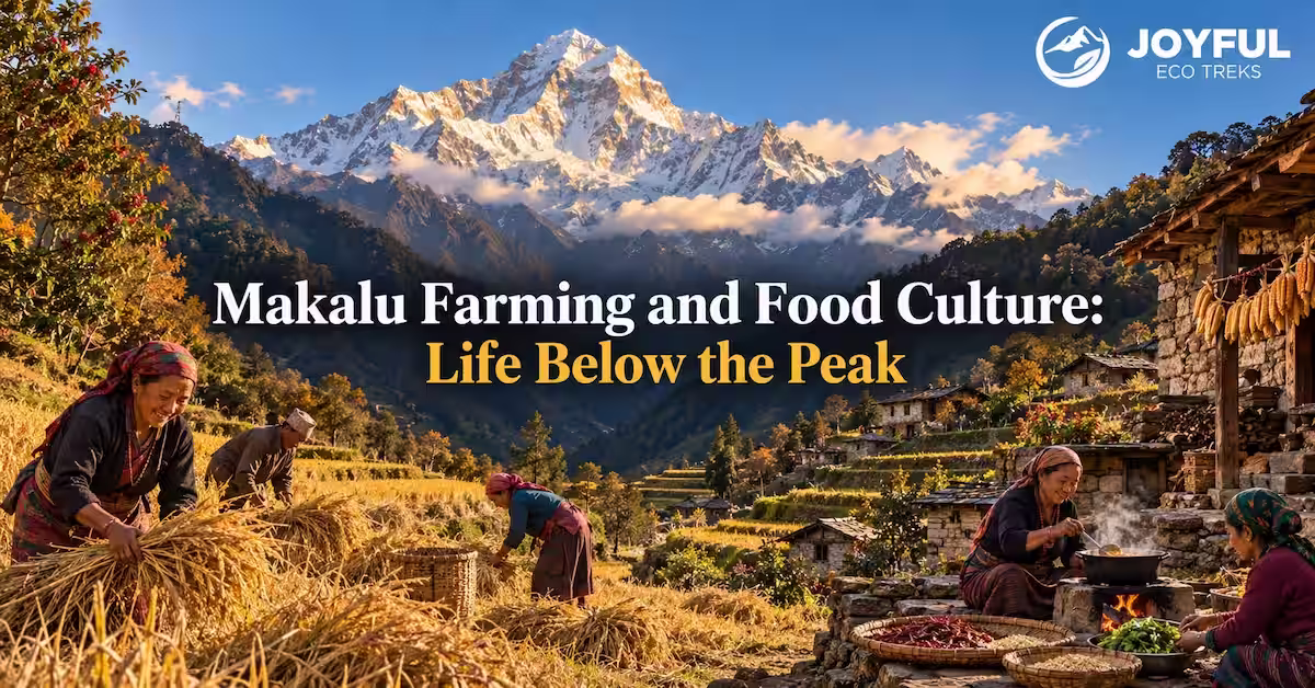 Traditional terraced rice fields in the lower Arun Valley, illustrating makalu farming and food culture at lower elevations