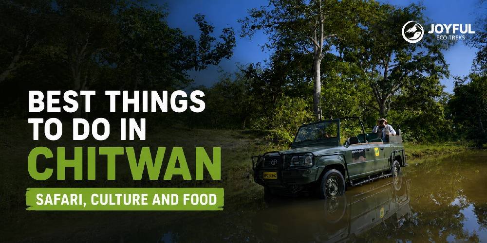 Safari jeep in Chitwan National Park with Best Things to Do in Chitwan travel guide graphic